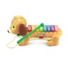 Zoo Jamz® Doggy Xylophone - view 5